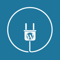 WORDPRESS PLUGIN