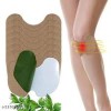 Herbal Knee Plaster 10 Sticker Pain Relief and Inflammation Patches 
