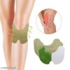Herbal Knee Plaster 10 Sticker Pain Relief and Inflammation Patches 