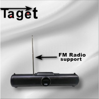 TARGET Extra deep Bass wireless Sound Bar with up to 6H PLAY TIME, Support FM Radio, Memory Card, USB Port, Aux for party, home, yoga SB-22