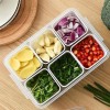 Fridge Storage Box – Freezer & Kitchen Organizer for Vegetables & Food (1 Pc) - 6 Grid / Color Box