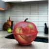 Fruit Basket with Mesh Cover – Kitchen & Dining Table Fruit Storage Bowl with Insect Protection