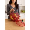 Fruit Basket with Mesh Cover – Kitchen & Dining Table Fruit Storage Bowl with Insect Protection
