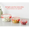 Aarvi Empresa presents Airtight Kitchen Container Set of 3-300ml, 750ml, 1500ml | Transparent Fridge Box with Leak Proof Lid & Lock | Food Storage Container/Snack Box/ Cookies & Dry Fruits Box