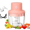 Electric USB Garlic Chopper for chop garlic, onions, ginger, fruits, vegetables, nuts