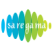 Saregama Carvaan