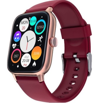 Gizmore Smart Watch Blaze Pro