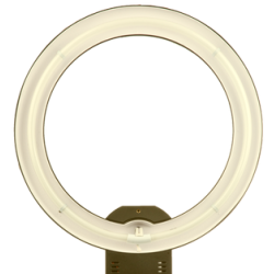 RING LIGHT